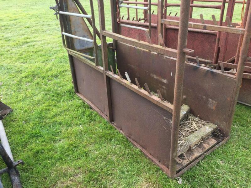 Cattle Crush £250 plus vat £300